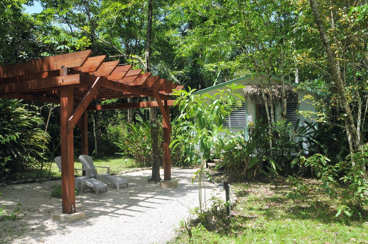 Hickatee Cottages, Belize, Central America Punta Gorda Eksteriør bilde