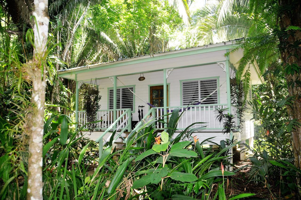 Hickatee Cottages, Belize, Central America Punta Gorda Eksteriør bilde