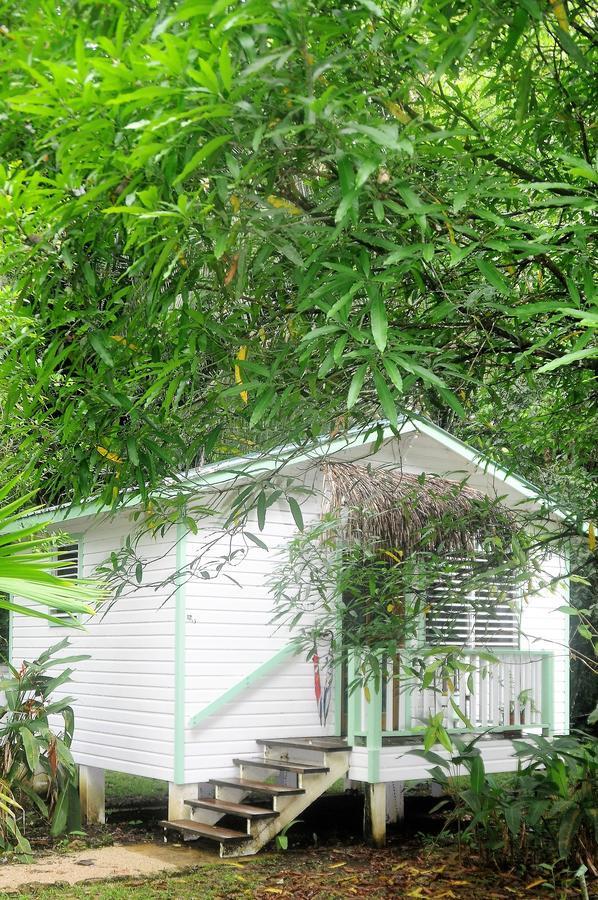 Hickatee Cottages, Belize, Central America Punta Gorda Eksteriør bilde