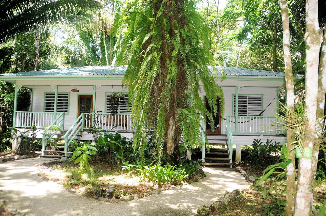 Hickatee Cottages, Belize, Central America Punta Gorda Eksteriør bilde