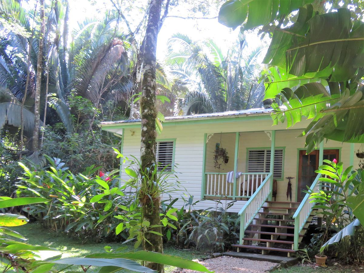 Hickatee Cottages, Belize, Central America Punta Gorda Eksteriør bilde
